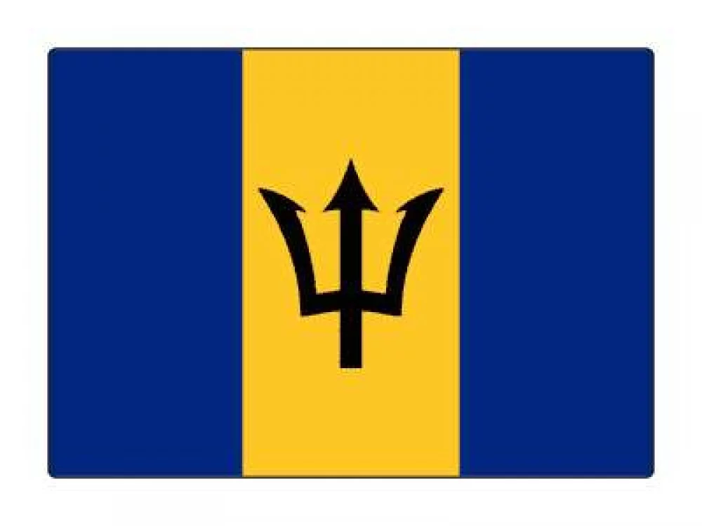 1 Pack - National Flag Of Barbados - 5x7 Inch Metal Print