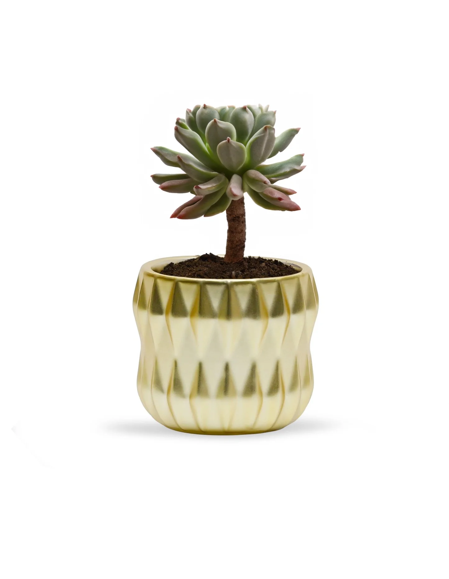 WGV Small Unique Gold Ceramic Pot- 4.5