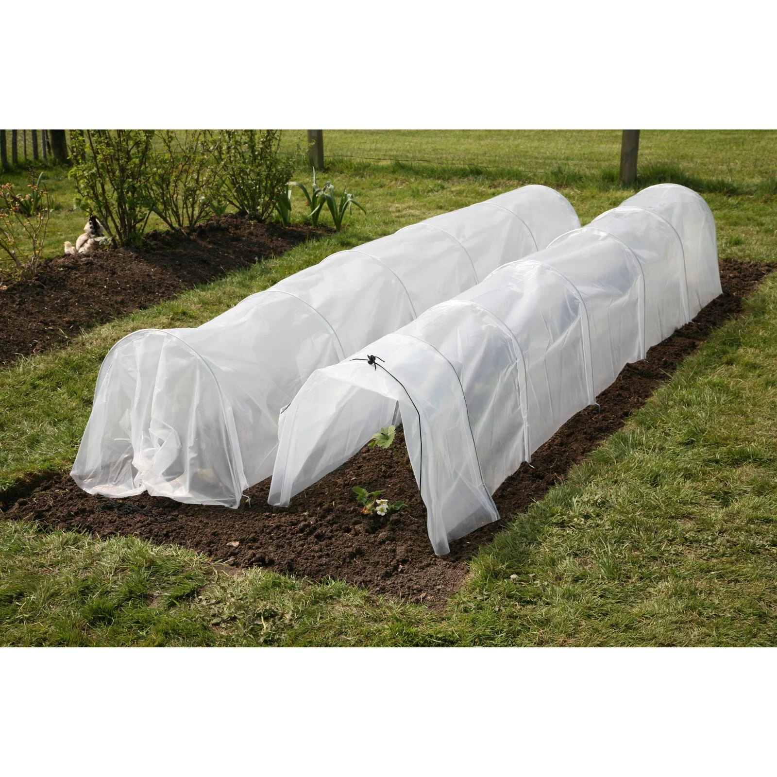 Tierra Garden Haxnicks Giant Easy Poly Tunnel