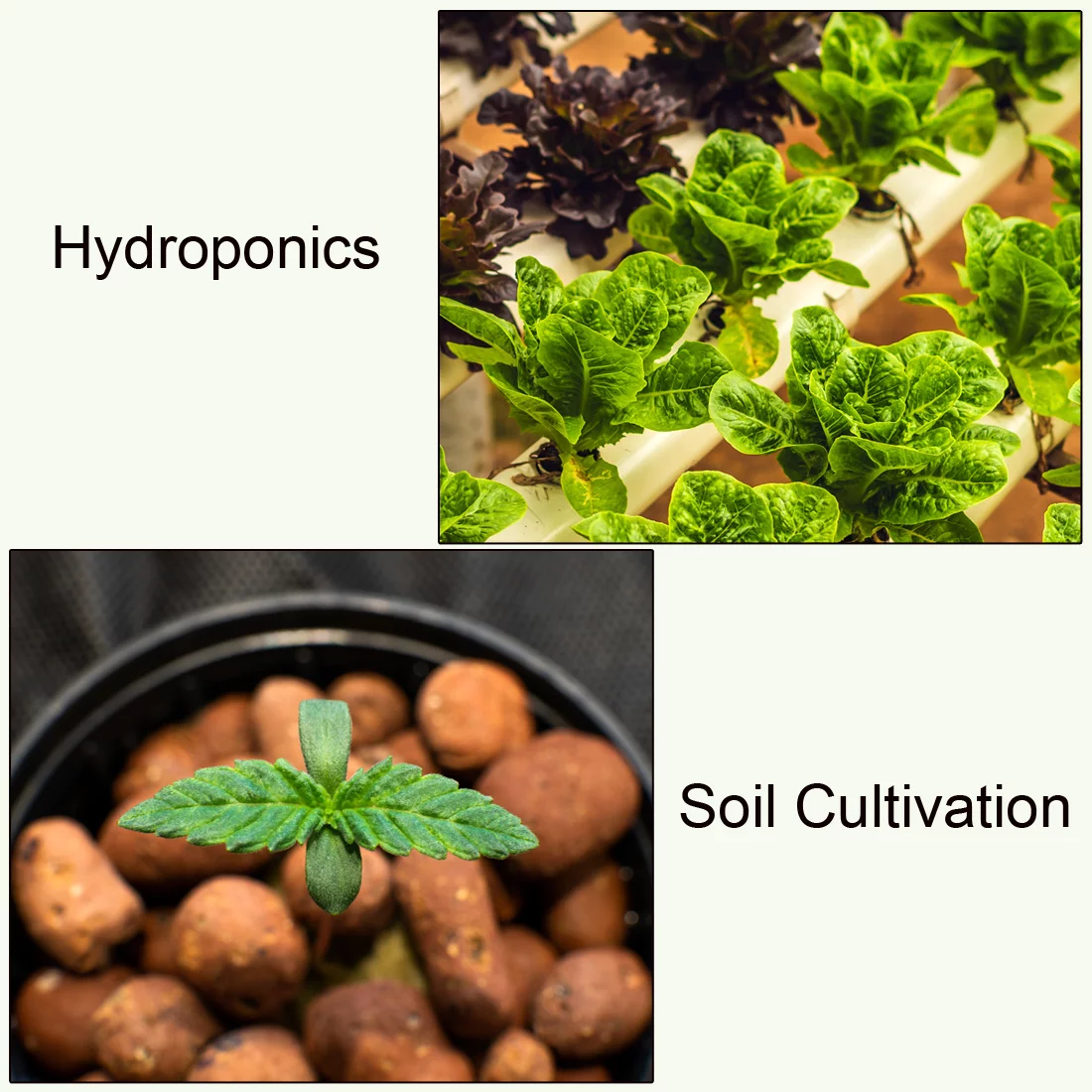 Uxcell 2'' Garden Slotted Mesh Cups Hydroponic Net Pots Plastic Black 75pcs