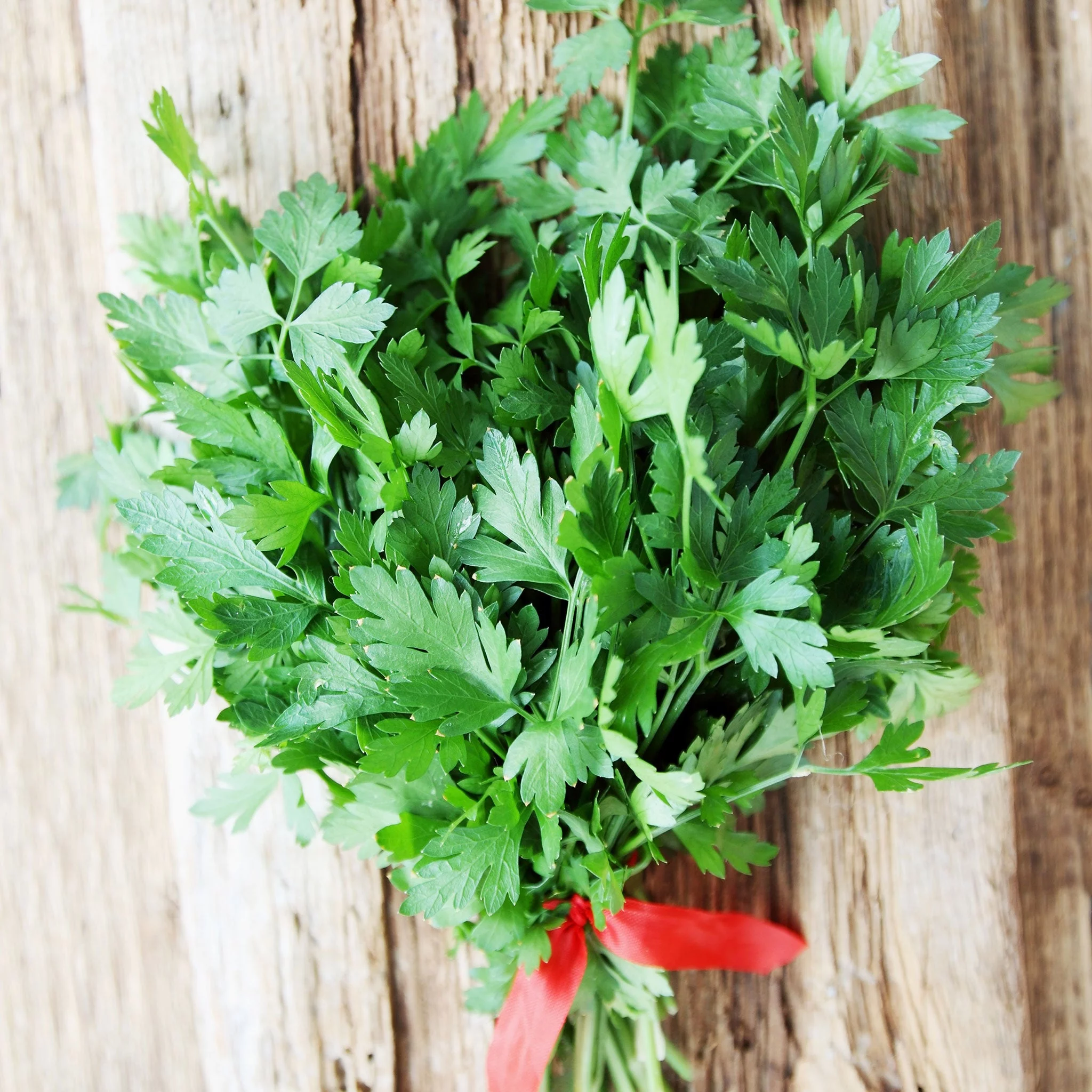 Parsley Seeds - Italian - 1 Ounce -  Herb Seeds,  Heirloom Seed  Easy to Grow & Maintain, Edible, Fast Growing, Culinary