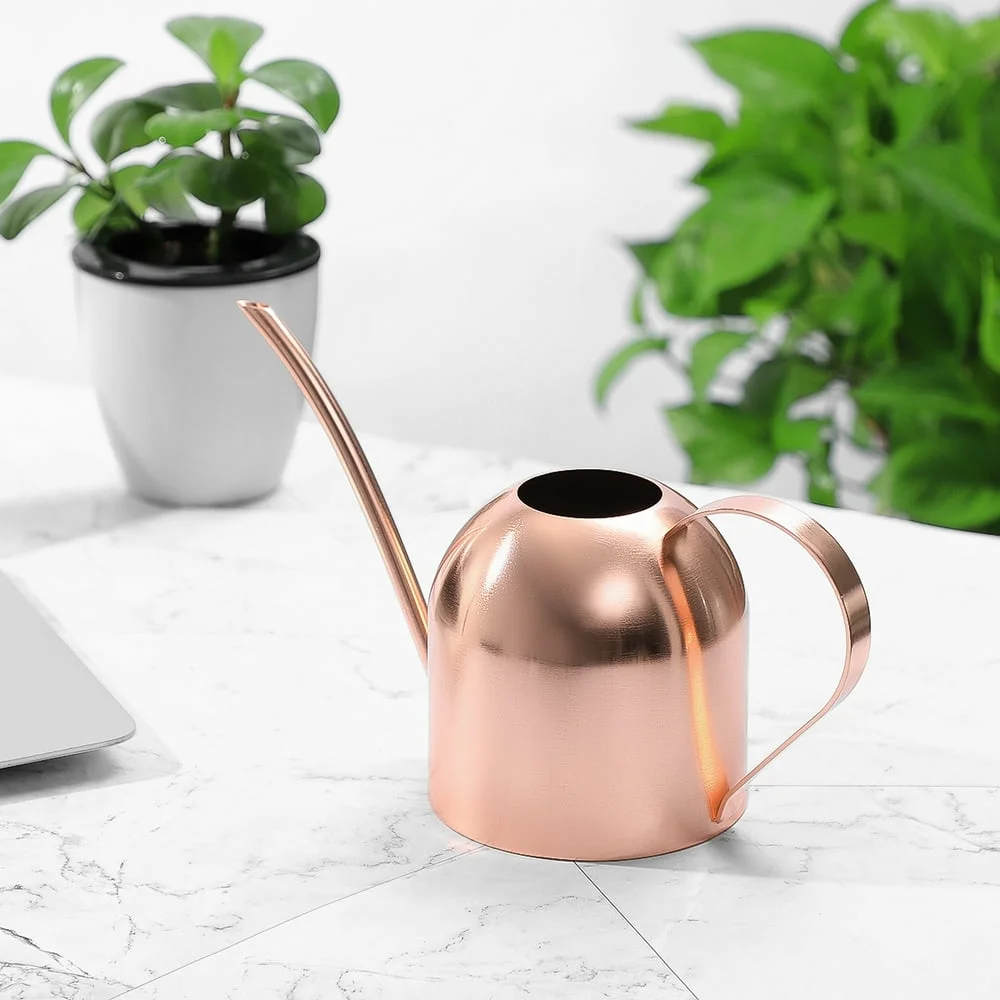 Yardwe 1000ml Stainless Steel Watering Can Indoor Plants Succulents Long Spout Watering Pot