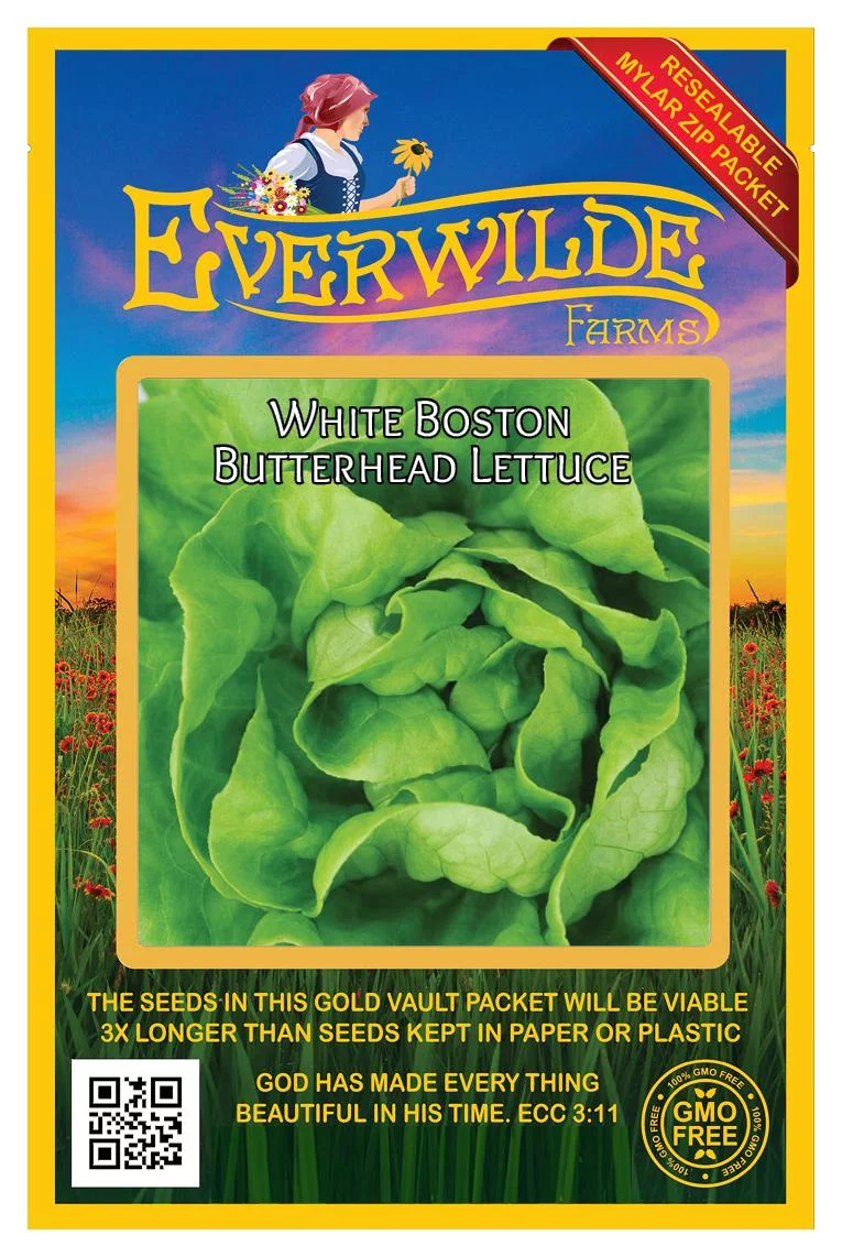 Everwilde Farms - 1000 White Boston Butterhead Lettuce Seeds - Gold Vault Jumbo Bulk Seed Packet
