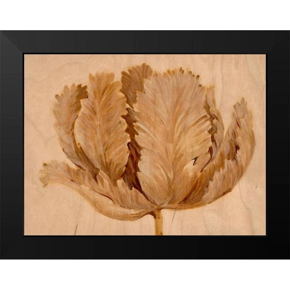 OToole, Tim 14x12 Black Modern Framed Museum Art Print Titled - Sepia Tulip on Birch II