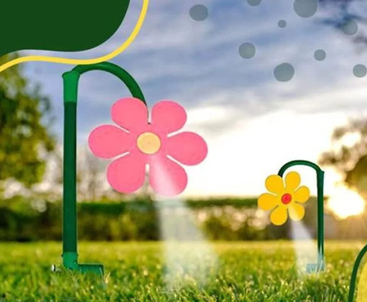 Daisy Crazy - Crazy Flower Sprinkler