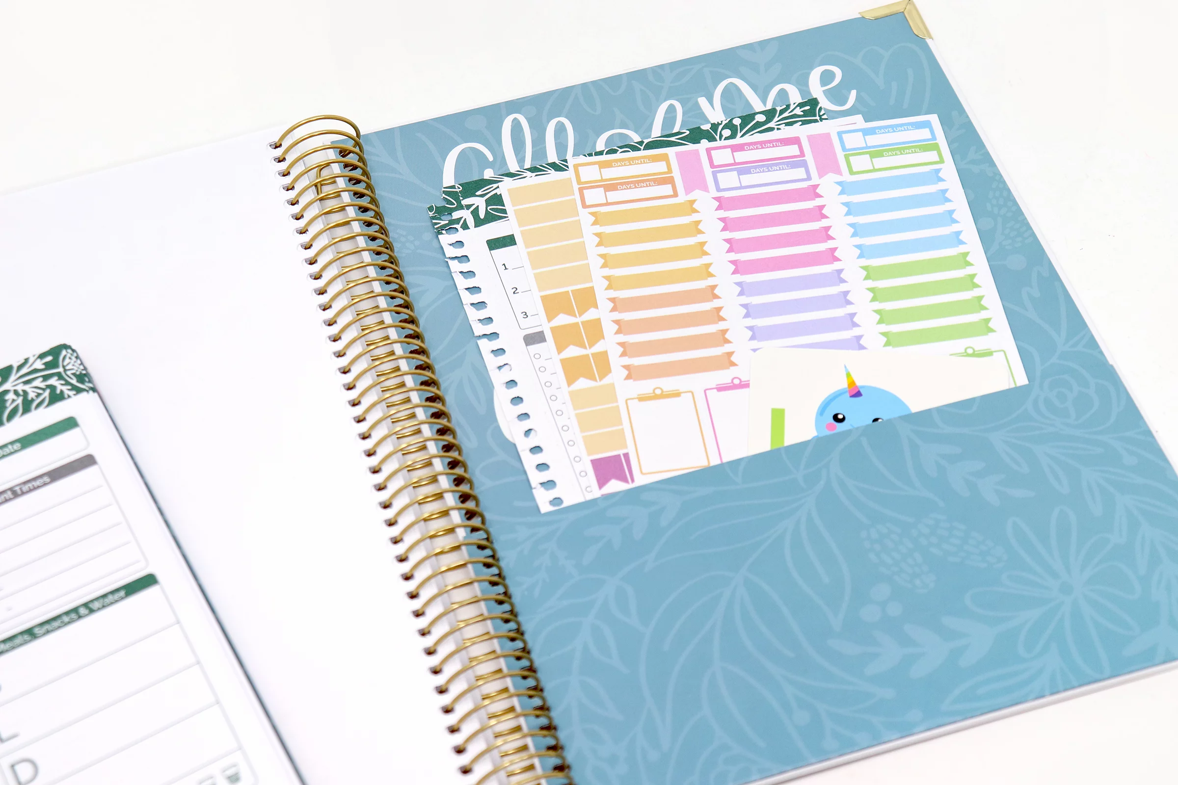 bloom daily planners Pregnancy & Baby's First Year Planner & Calendar, 9