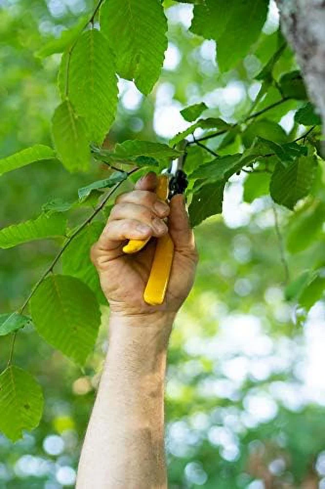 tree gear wtg-017 tough hand pruner