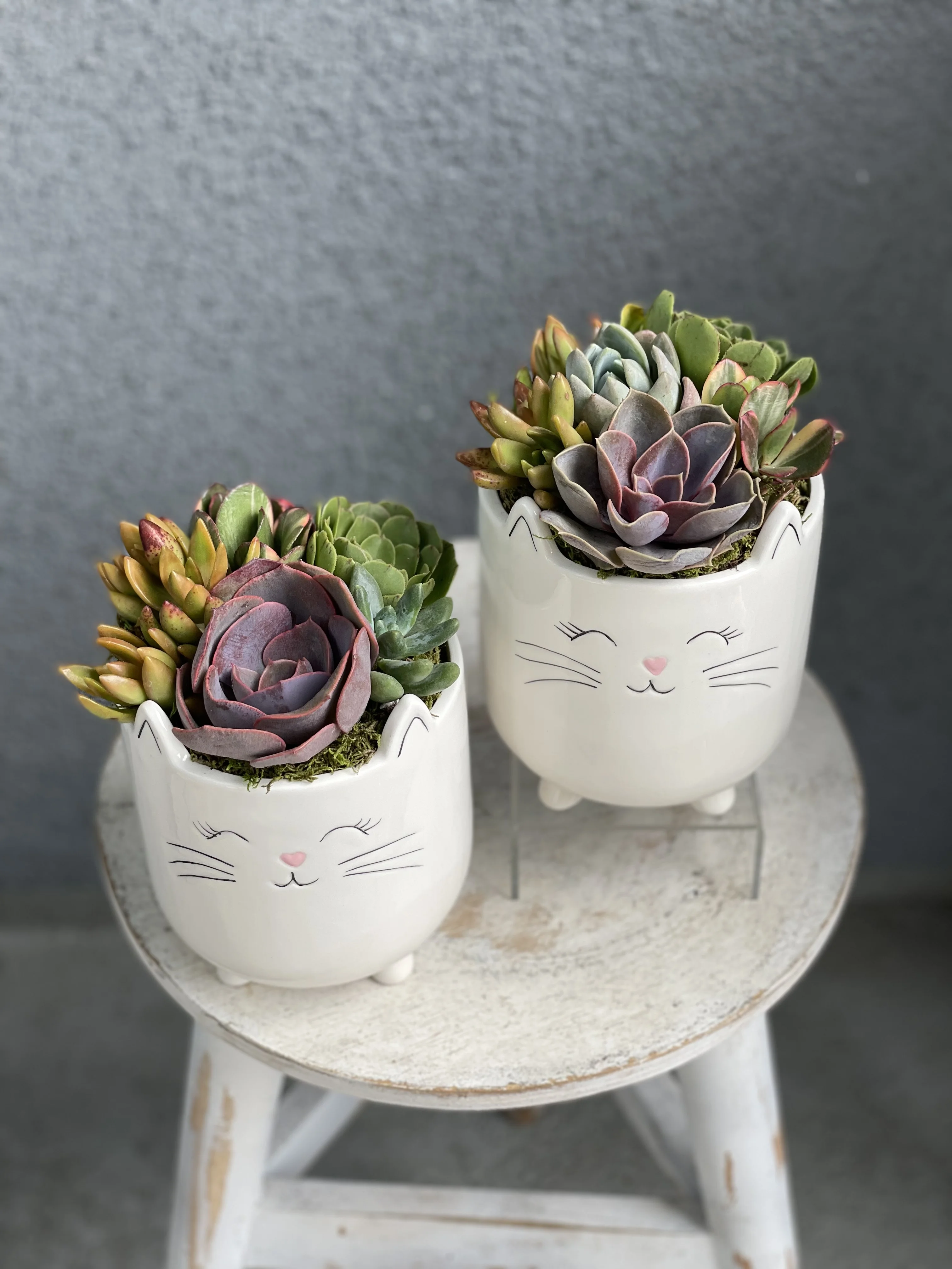 Cat Planter Pot for Succulents | White 6