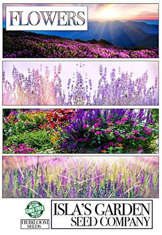 Clarkia Elegant Double Light Salmon Flower Seeds, 1000 Heirloom Seeds Per Packet, Non GMO Seeds, Clarkia Unguiculata