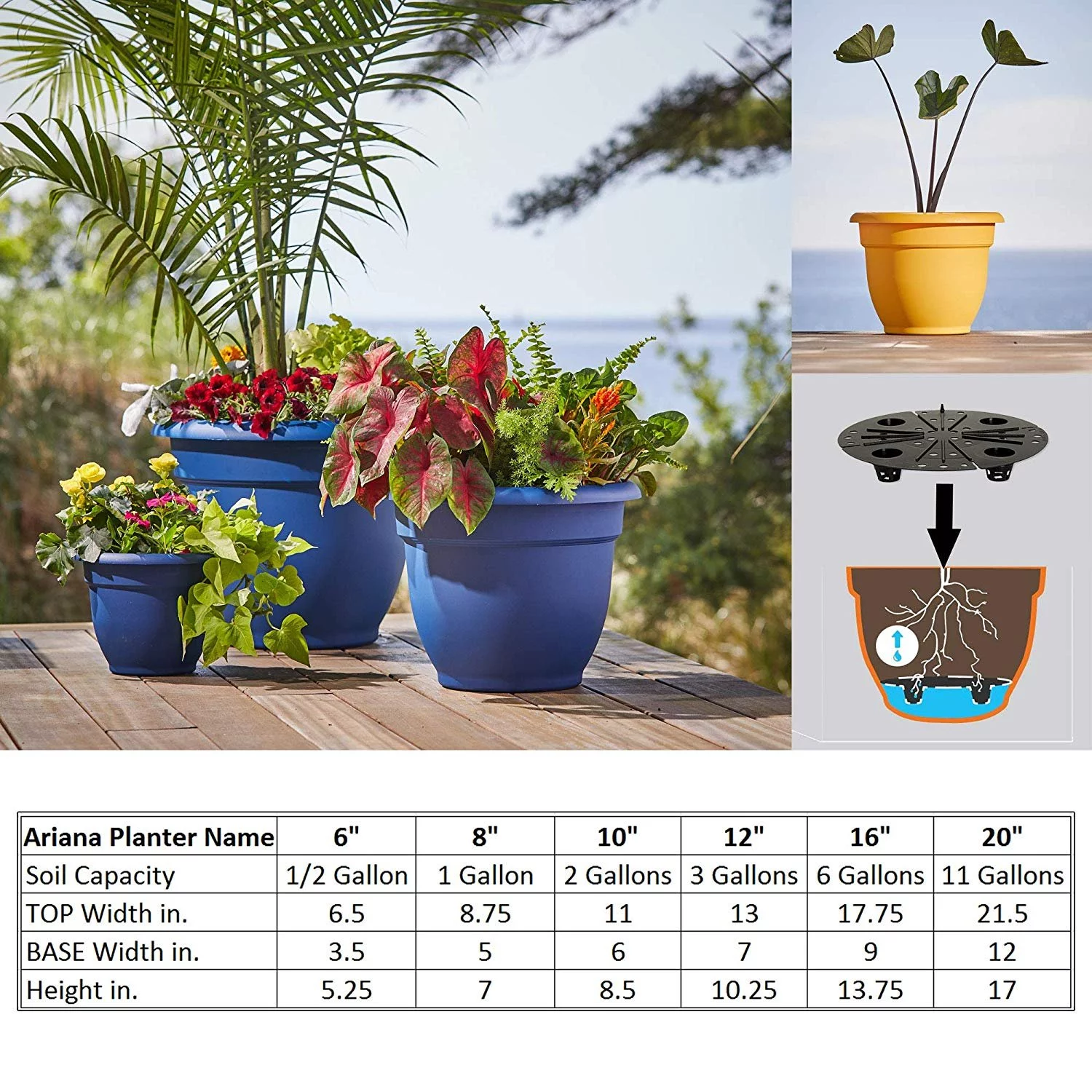 Bloem 20-56412 Planter, 12 Inch