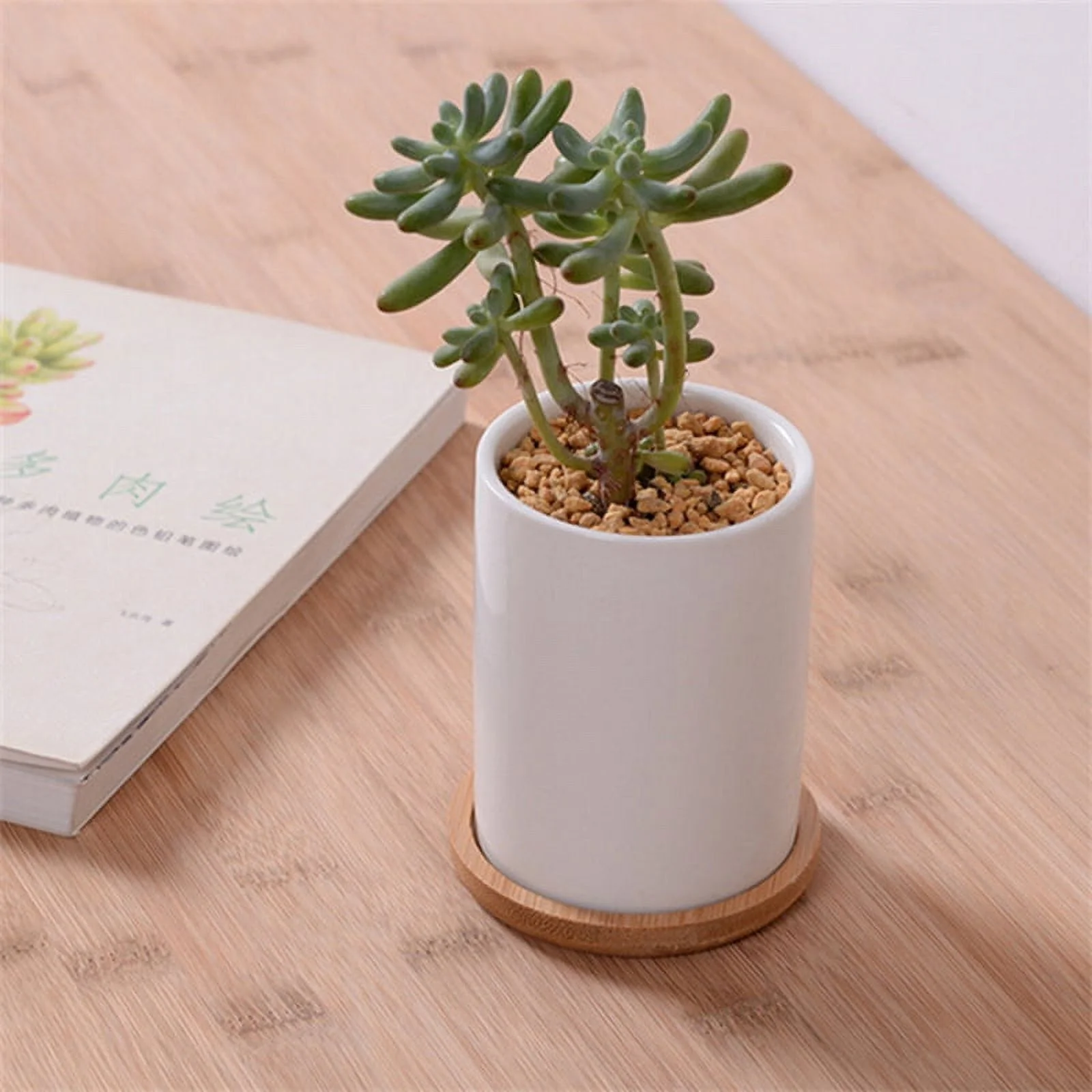 Cute White Ceramic Cylinder Shape Flower Pot with Bamboo Tray Table Small Succulents Flowerpot Green Planter  Decoration