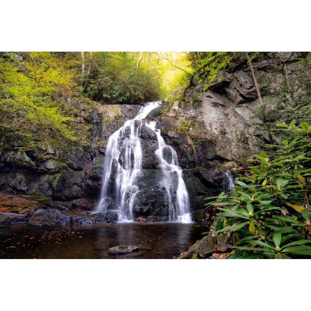 Head, Danny 14x11 Black Modern Framed Museum Art Print Titled - Spruce Flat Falls