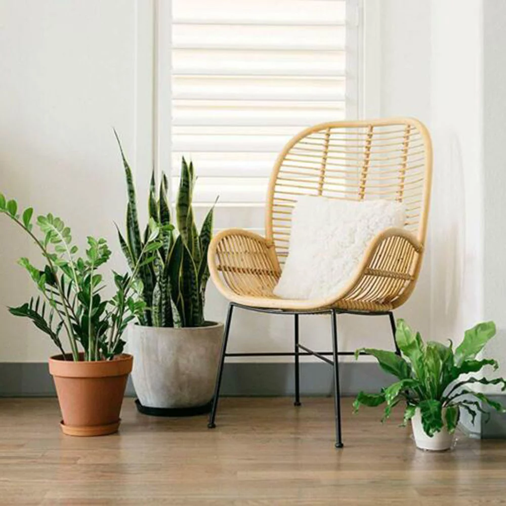 10pcs Garden Plant Saucer Drip Tray Round Pot Base Clear Snack Container PET