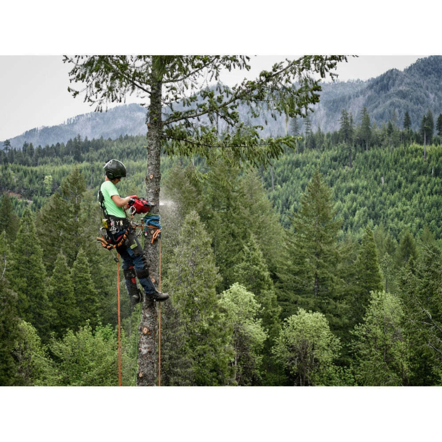 Milwaukee 2826-20C M18 FUEL 12