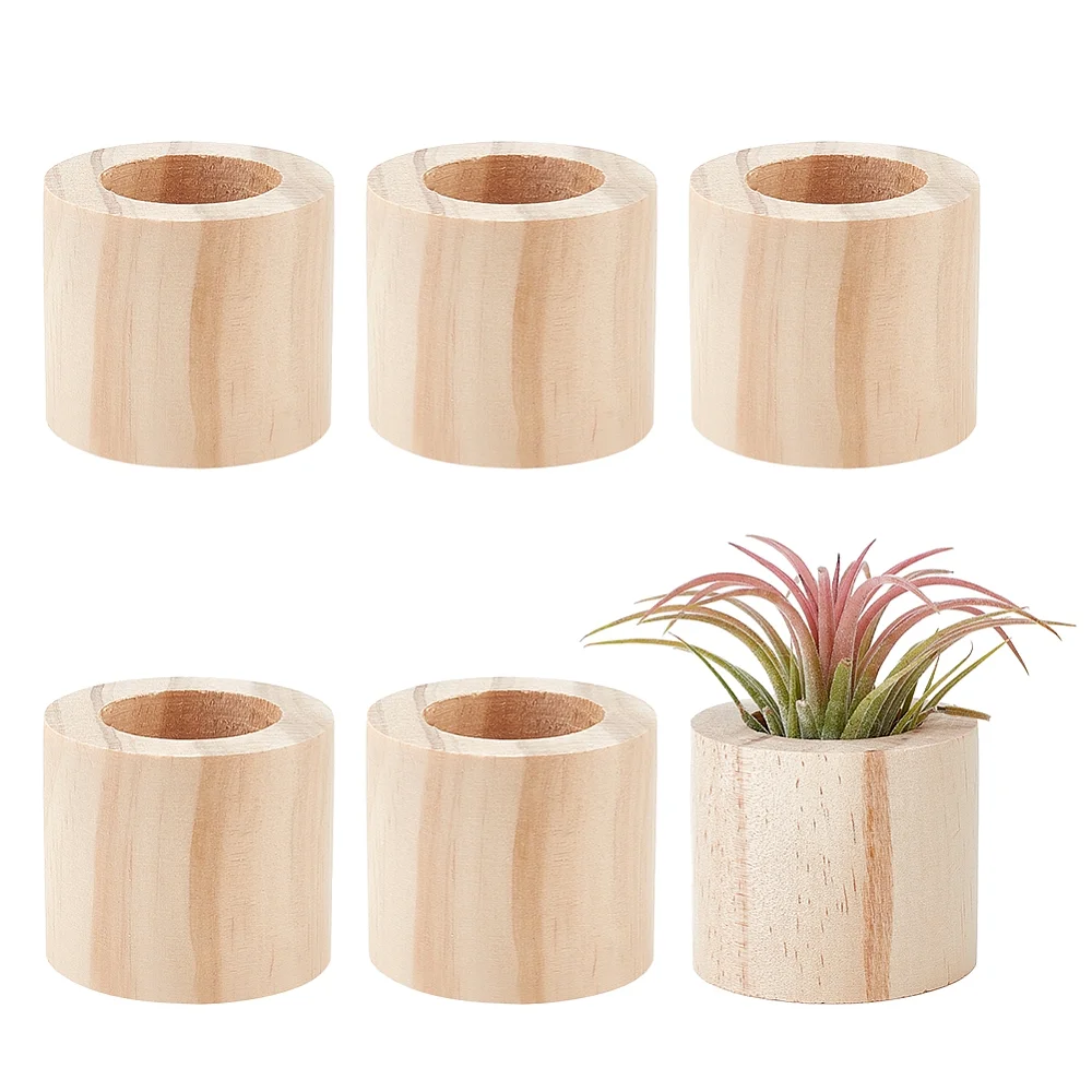 6pc 6 Pcs Air Plants Holders Wood Airplant Holder Rustic Style Air Plant Container Tillandsia Holder Air Plant Pots for Displaying Small Air Plant Home Office Desktop Decoration
