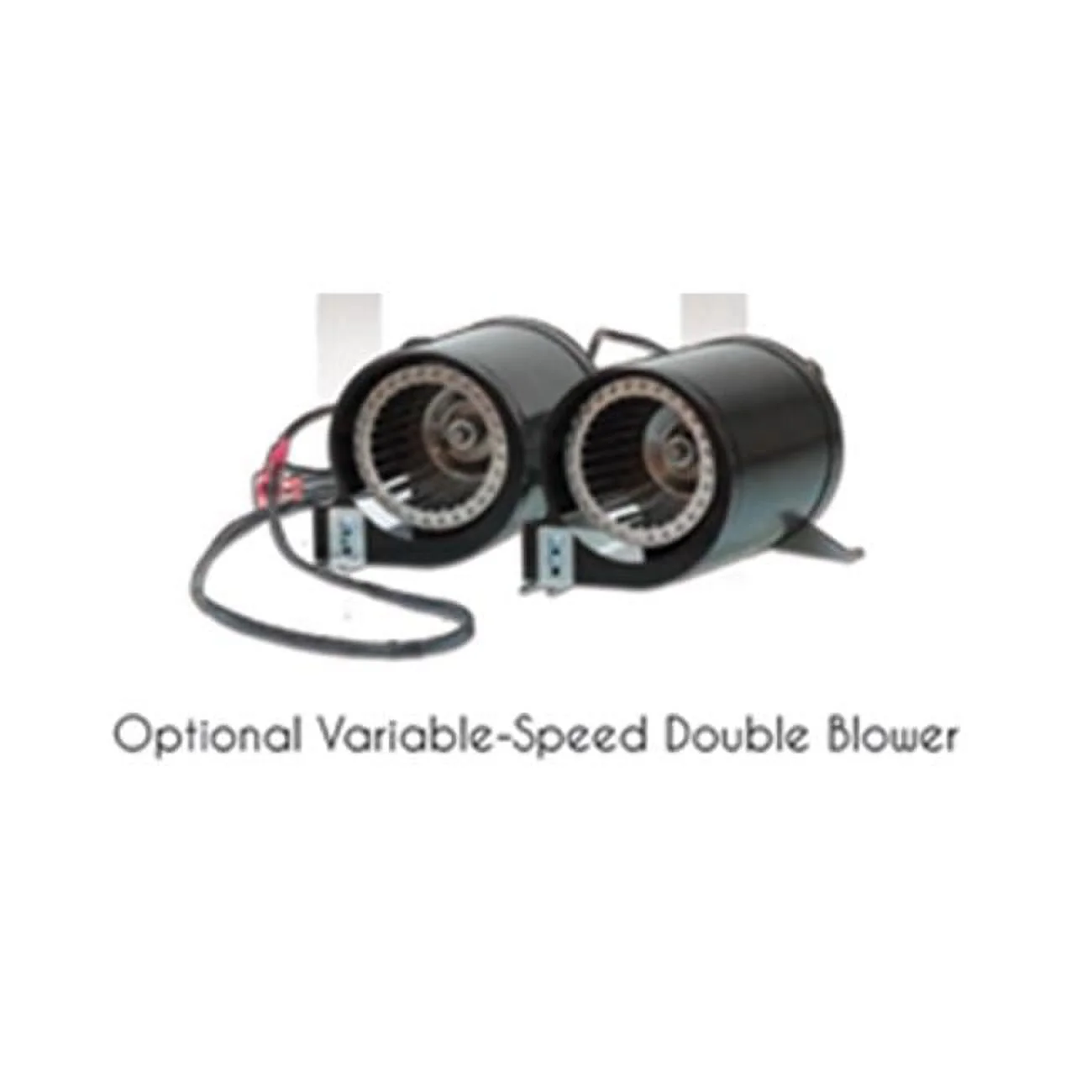 Auto Variable Speed Twin Blower