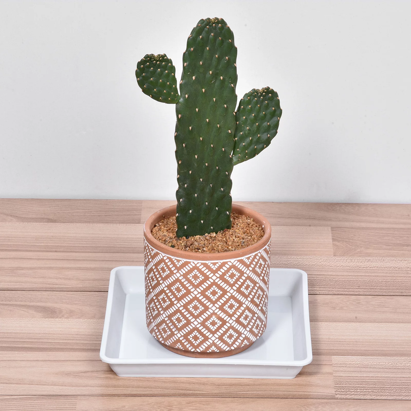 Uxcell Plant Pot Saucers Plastic Square Flower Drip Trays 10pcs White 7