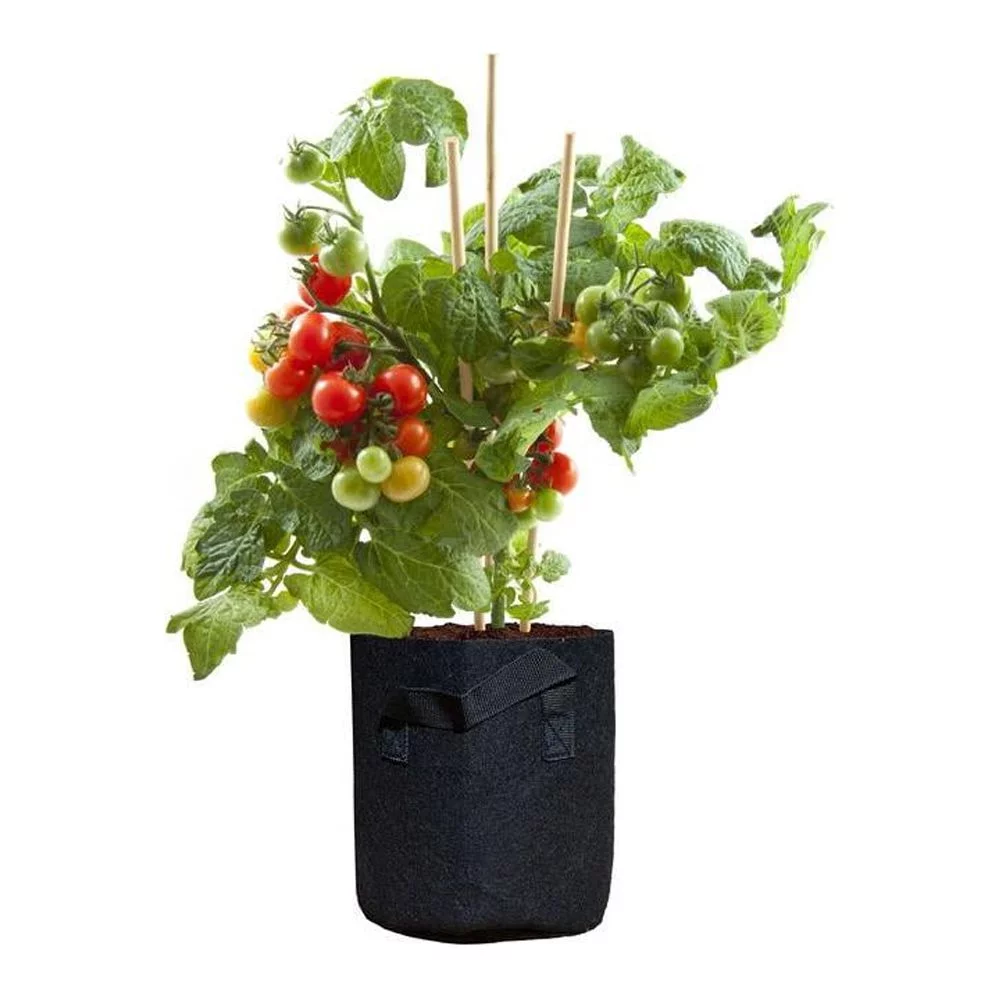 1 Gal. Breathable Fabric Root Aeration Pot with Handles (10-Pack)