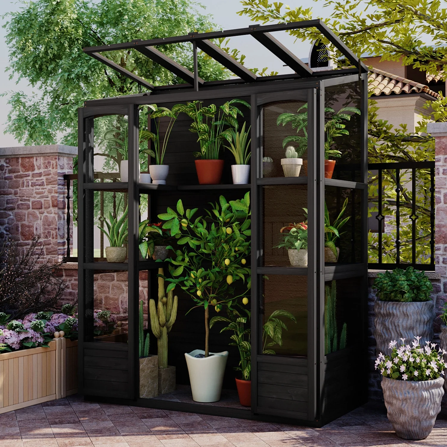TOPMAX 78-inch Wooden Greenhouse Cold Frame with 4 Independent Skylights and 2 Folding Middle Shelves  Walk-in Outdoor Greenhouse  Black