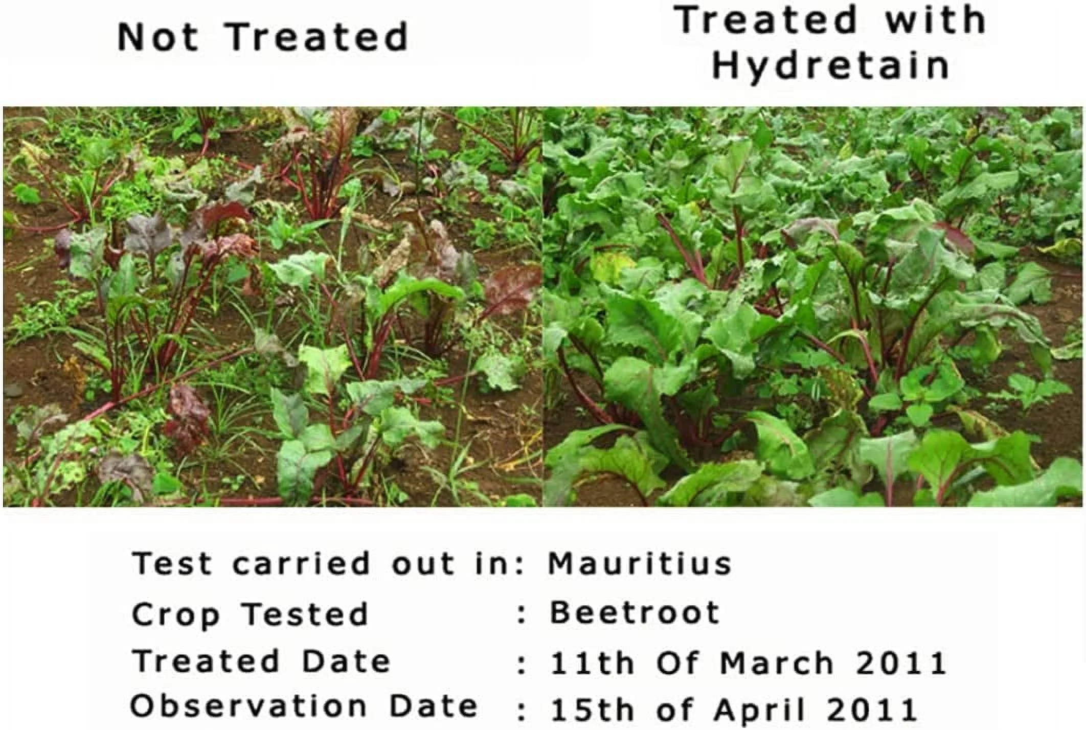 Hydretain Root Zone Moisture Manager 2 Quarts with HoseEnd Sprayer