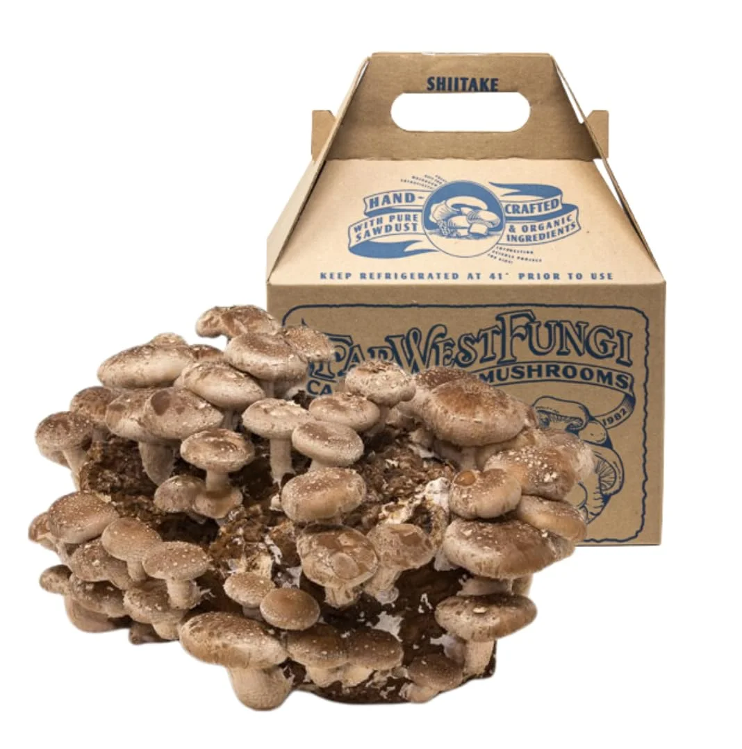 Shiitake Mushroom Mini-Farm Grow Kit, 5lbs, Non-GMO, Easy to Use, Grow Your Mushrooms at Home, Produced by Real Farmers in California.