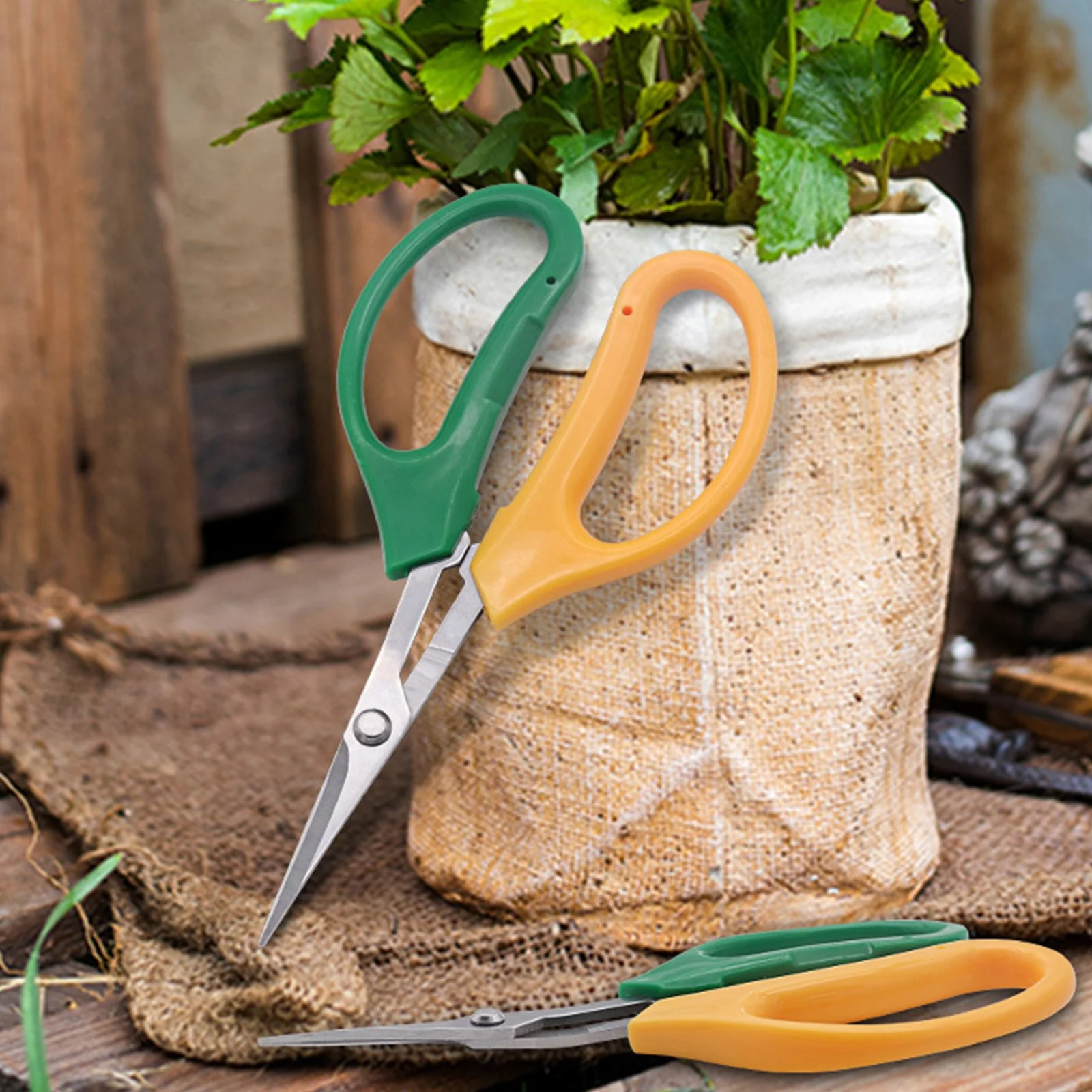 Two Color Handle Household Pruning Shears For Gardening Grape Picking Scissors