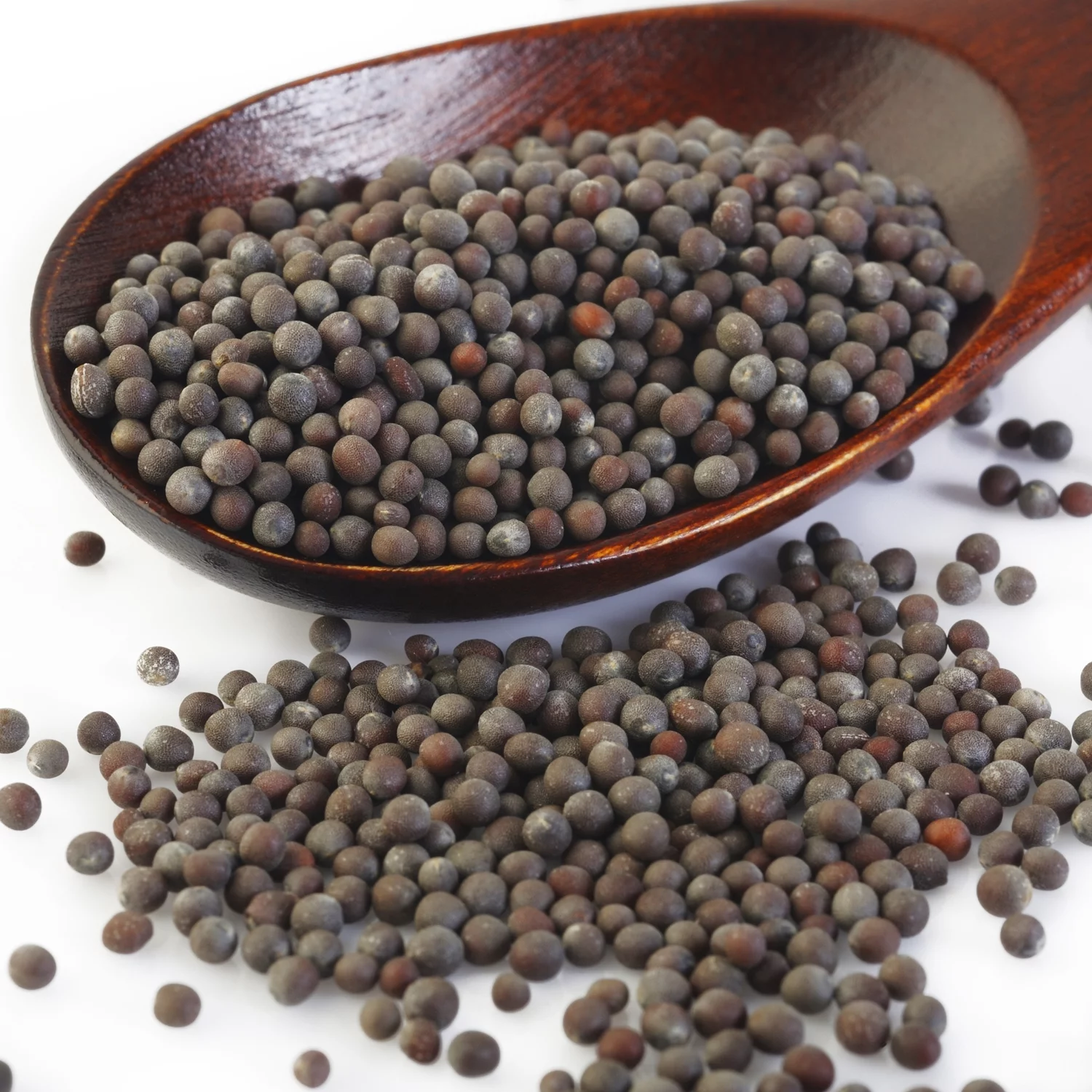 The Spice Way Brown Mustard Seeds - Whole Seeds - 8 oz.