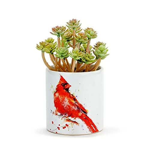 Cardinal Succulent Red and White 7 Inch Ceramic Artificial Flower Pot Planter
