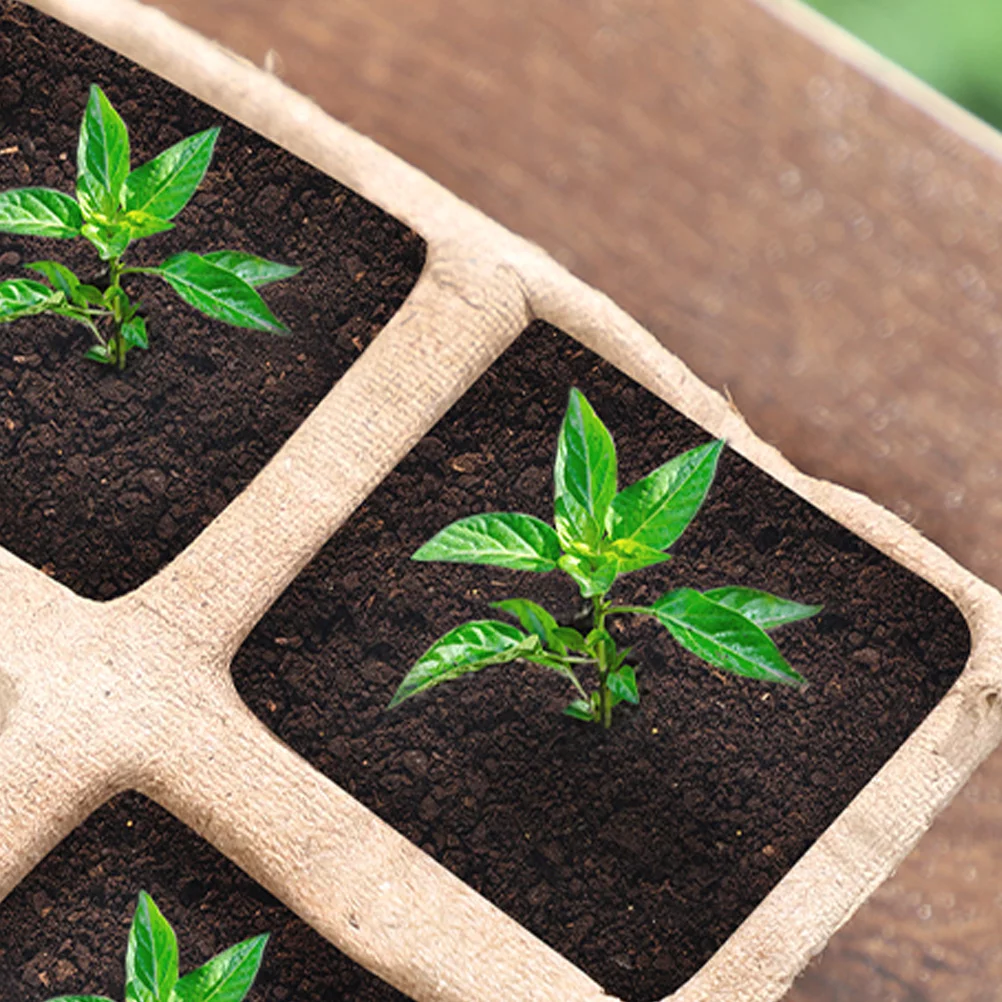 Guichaokj 10pcs 12-Hole Growing Tray Paper Pot Plant Herb Nursery Cup