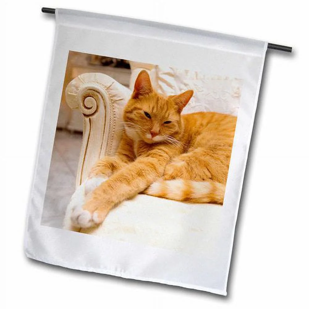 3dRose Happy Tabby Cat Relaxing on Fancy Armchair Polyester 1'6'' x 1' Garden Flag