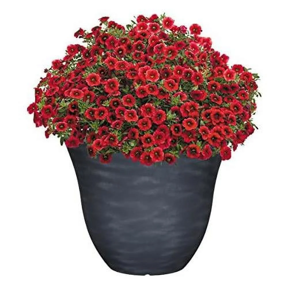 honeysuckle resin flower planter, zinc grey, 15