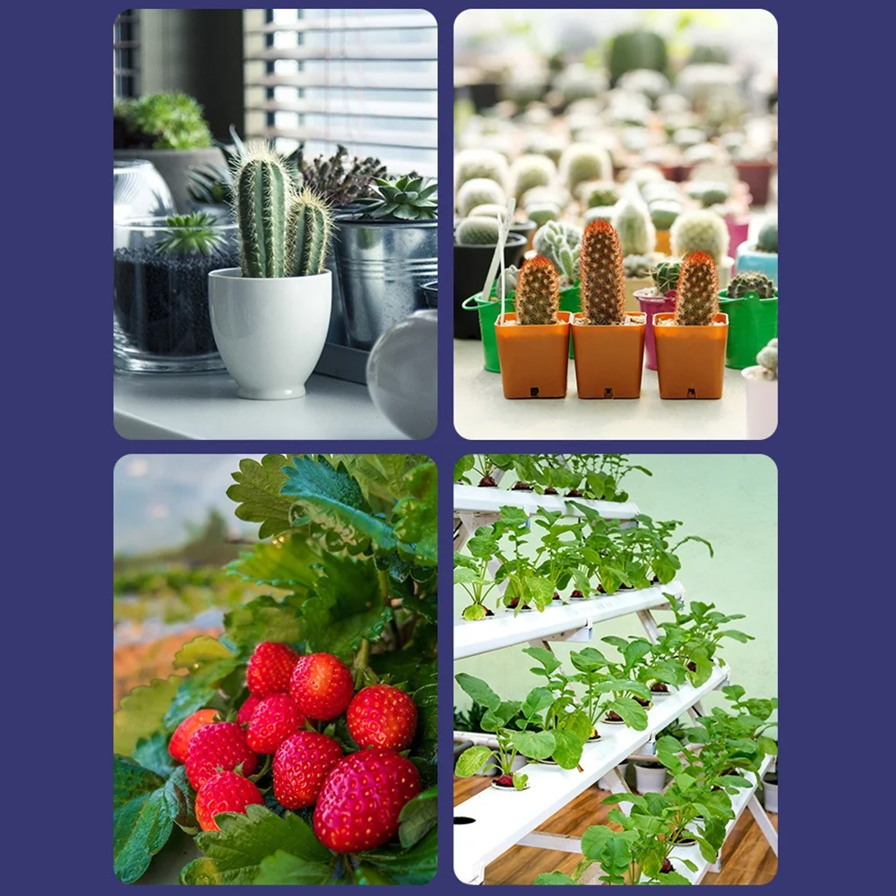 OWSOO Grow Bulb for Indoor Plants Red & Blue Spectrum 300 LEDs Plant Bulbs E27 Growing Lamp for Seedlings Hydroponic Succulent Flowers Veg Greenhouse (85-265V)