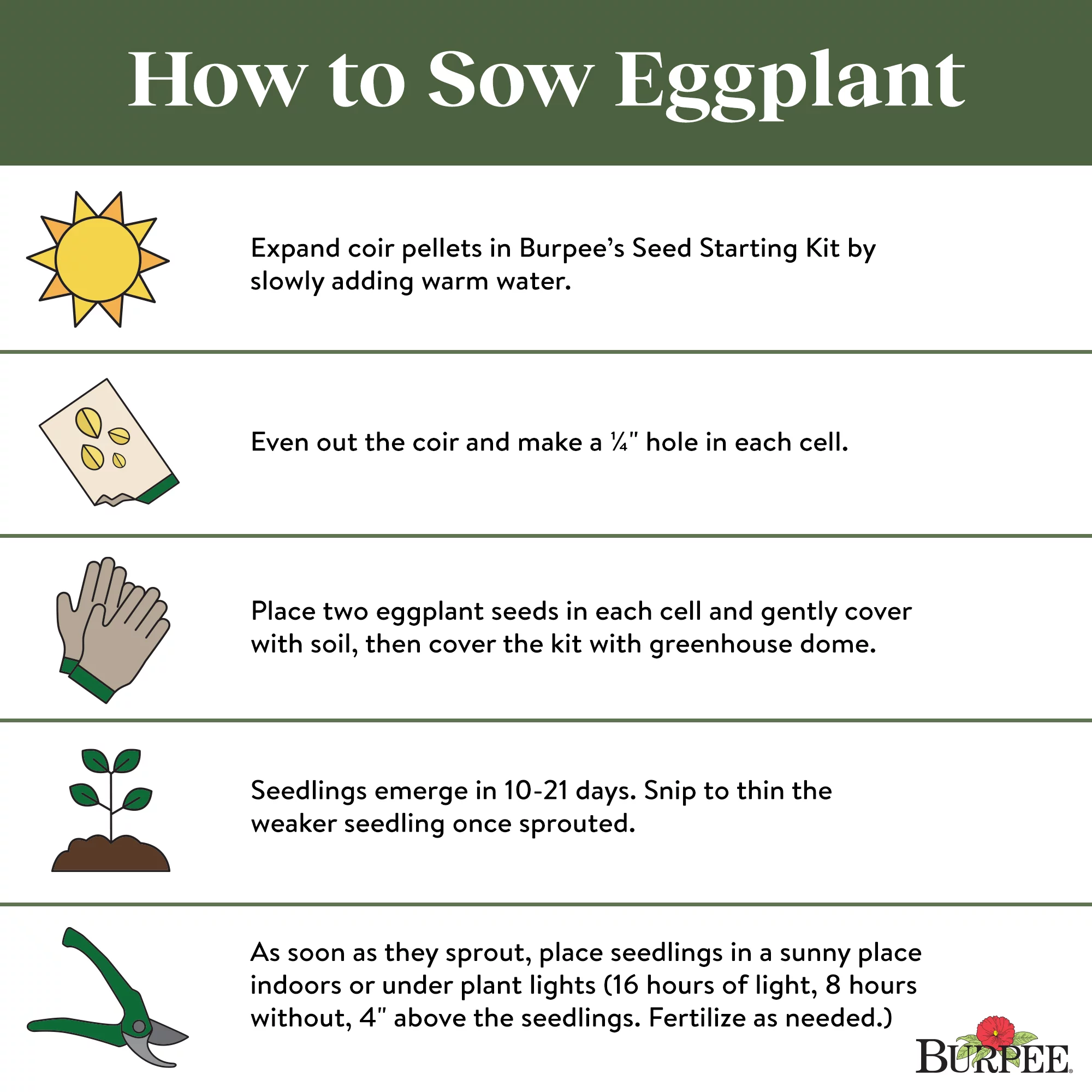 Burpee Green Knight Eggplant Vegetable Seed, 1-Pack