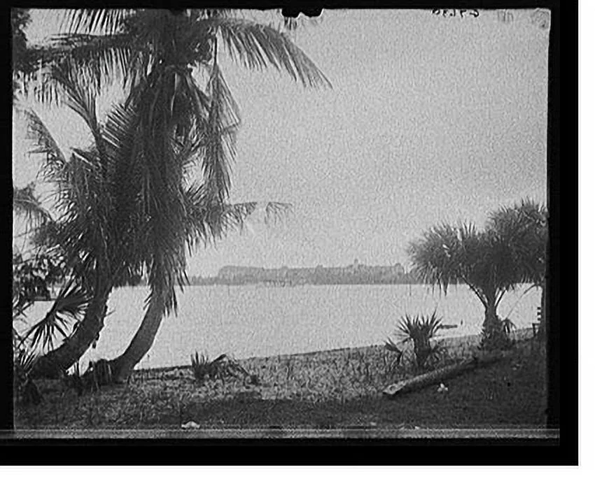 Historic Framed Print, [The Royal Poinciana from Lake Worth, West Palm Beach, Fla.], 17-7/8
