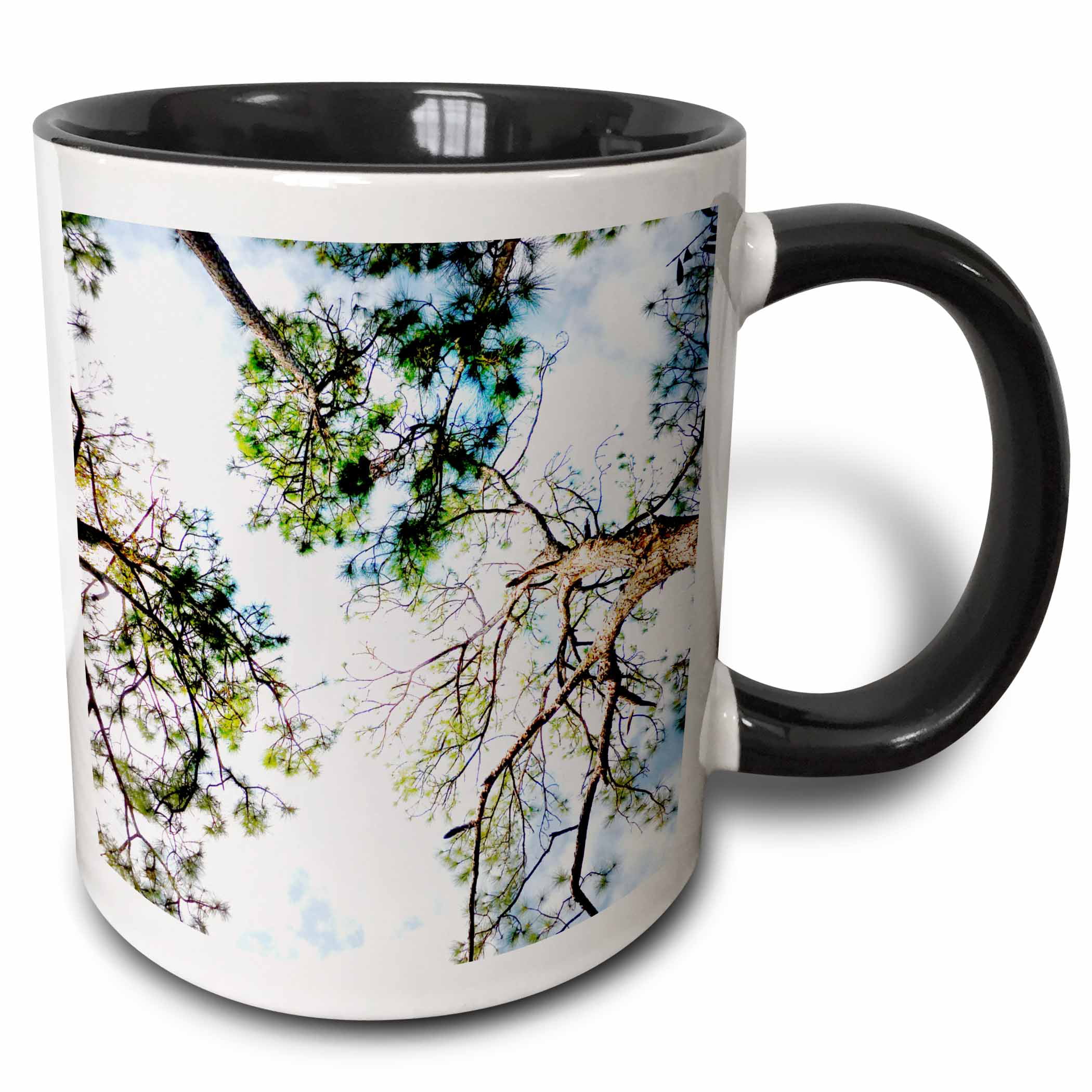 3dRose View looking through slash pine trees sky florida scene 3d - Two Tone Black Mug, 11-ounce