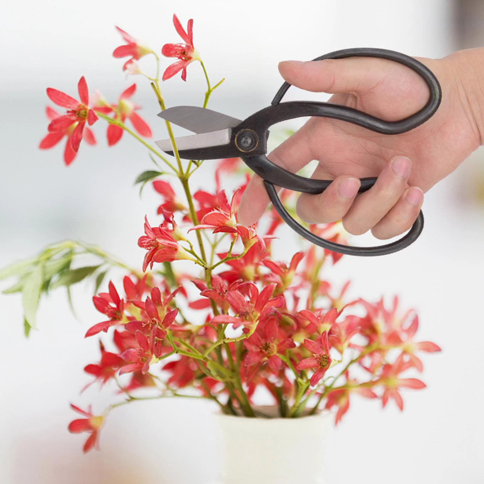 Strong Toughness Steel Bonsai Pruning Scissors Gardening Flower Arranging Tool for Plants and Harvest Herbs, Fruits or Vegetables(Guryu Shears)