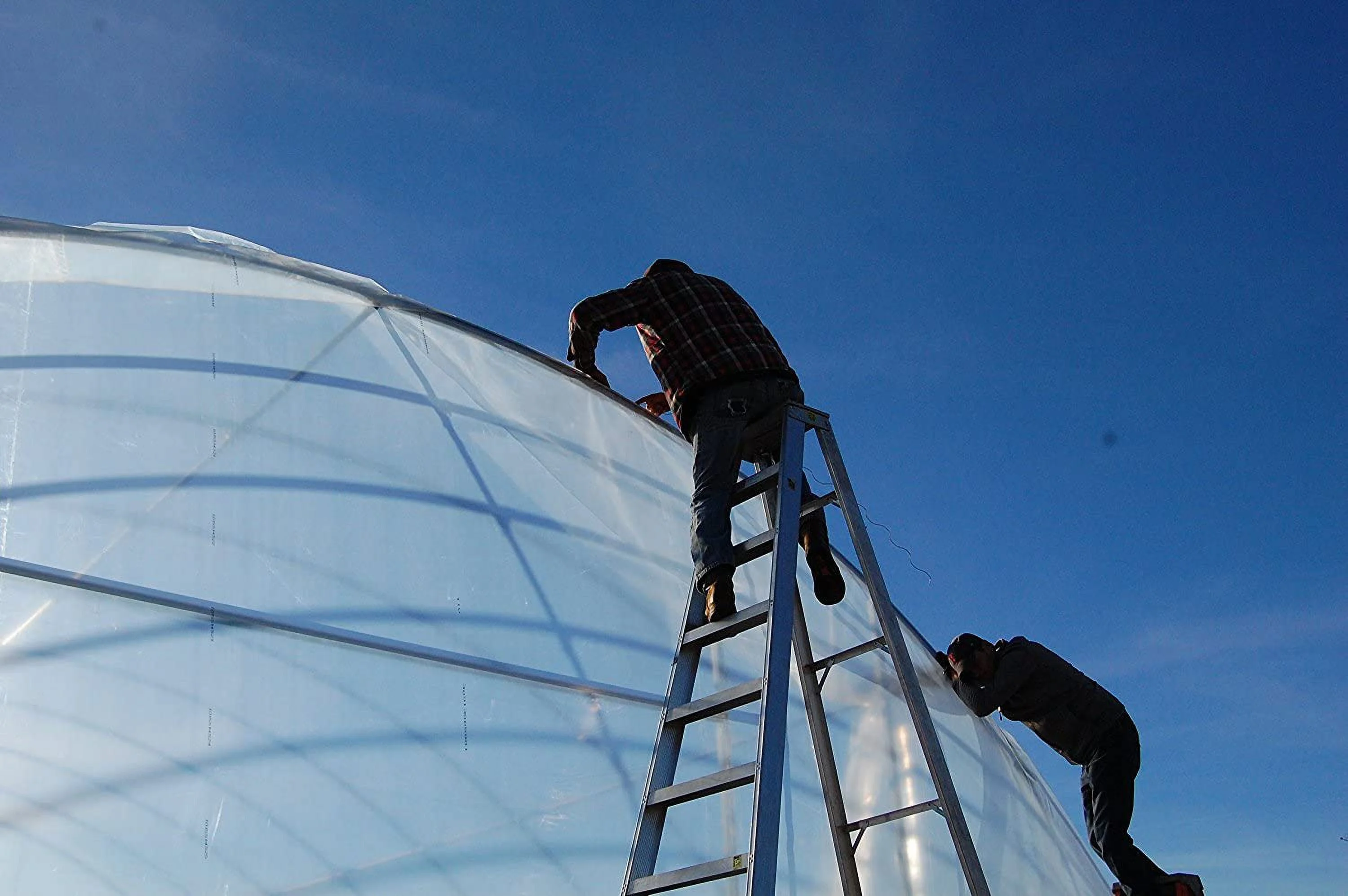 Greenhouse Plastic Clear 6 mil, 4 Year, Polyethylene Covering Film (14 ft. Wide x 20 ft. Long)