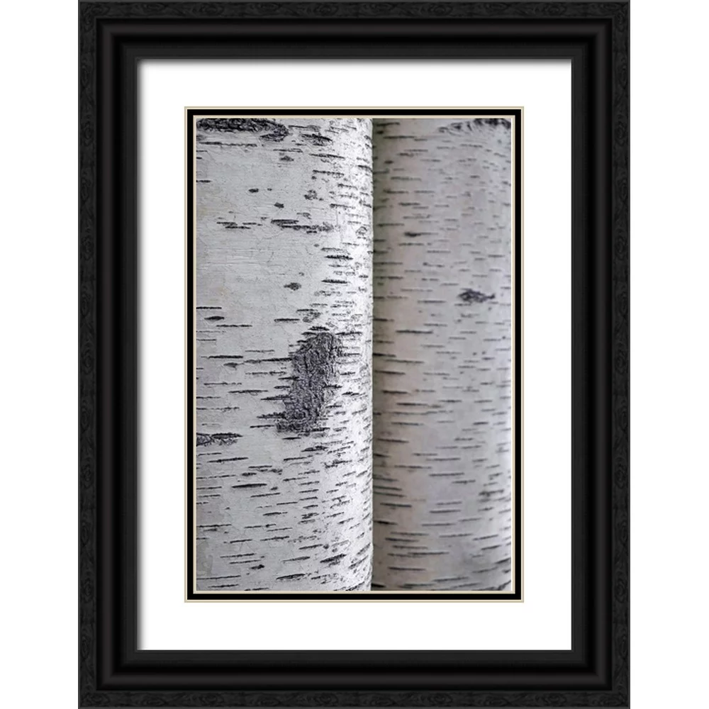 Engelbrecht, Lisa S. 17x24 Black Ornate Wood Framed with Double Matting Museum Art Print Titled - Closeup of birch bark