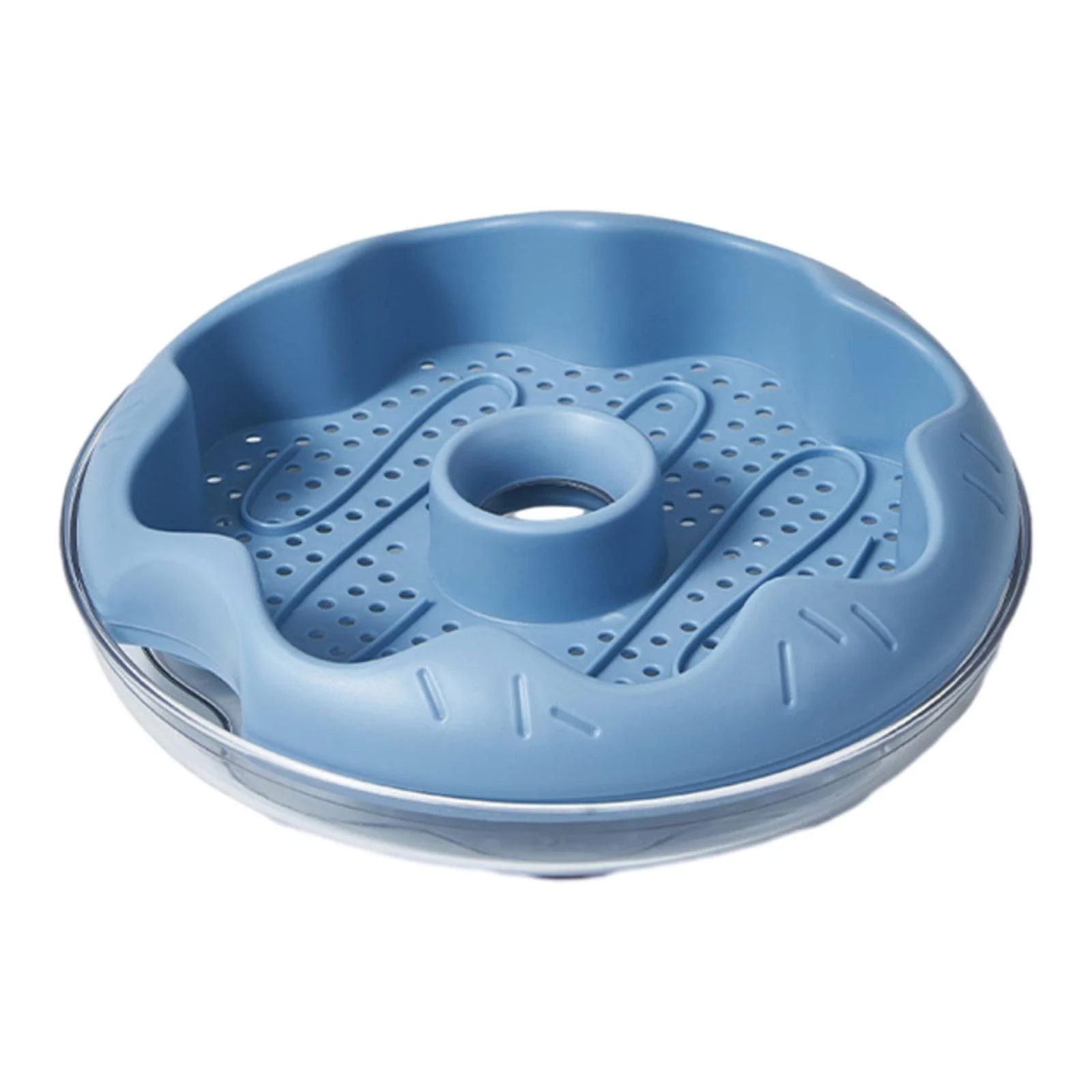 oshhnii Grass , Planting Tray, Germination Tray, Grass Sprouting Tray, Cat Snack Blue