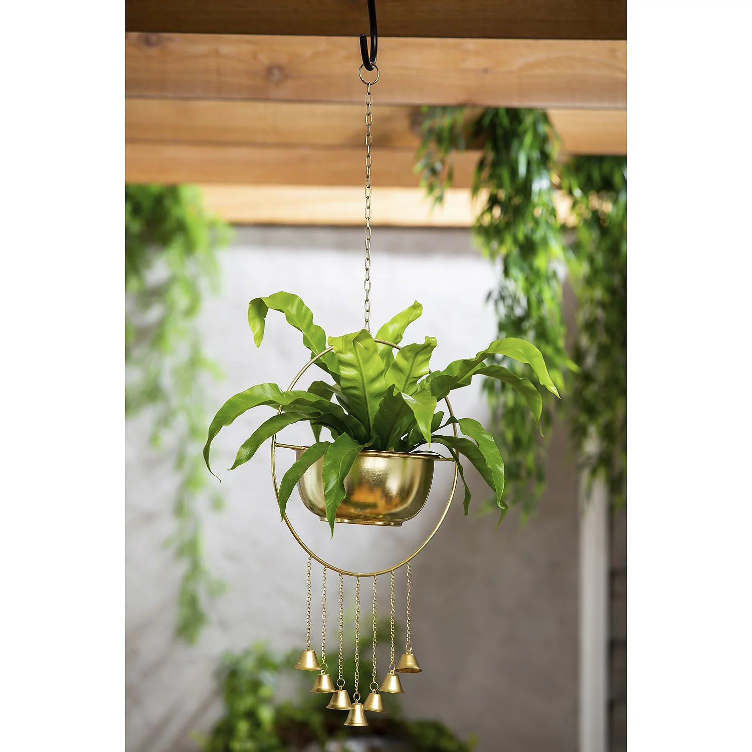 Evergreen Hanging Planter, 10''x 6.5'' x 16'' inches