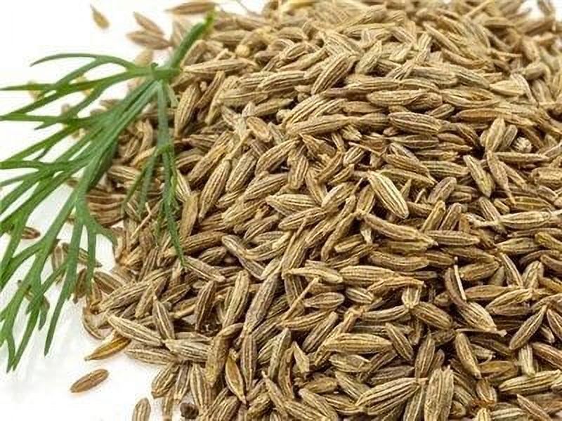 Caraway Herb Seeds, 100 Heirloom Seeds Per Packet, Non GMO Seeds