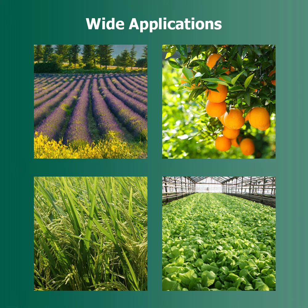 Lixada Soil Detector 2-in-1 pH Hygrometer Precision Tester for Greenhouse Planting Agricultural Soil High Accuracy pH Humidity Measurement