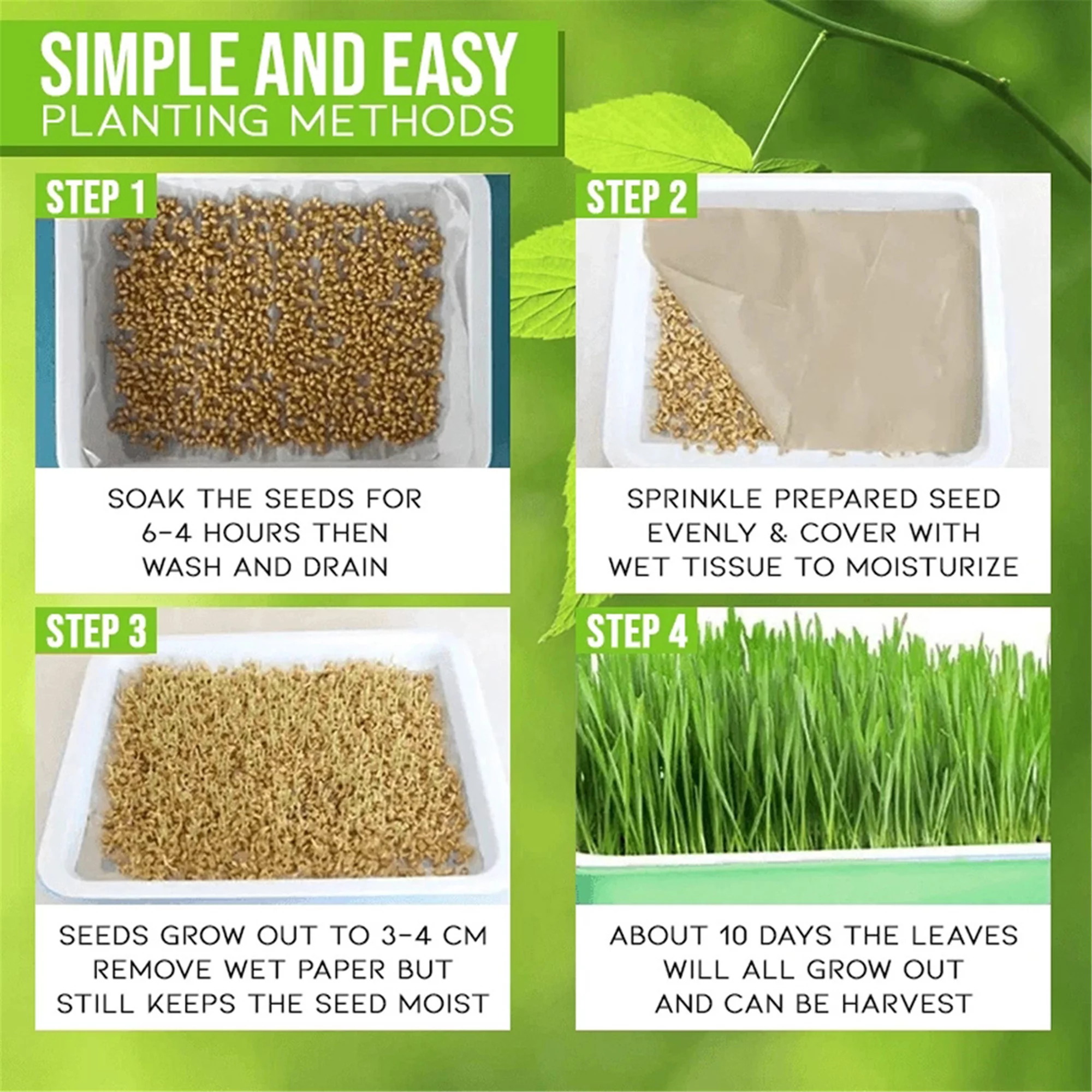 Aunavey Seed Sprouter Tray 10*Nursery Papers PP Plastic Soil-Free Big Capacity Wheatgrass Grass Grow Box