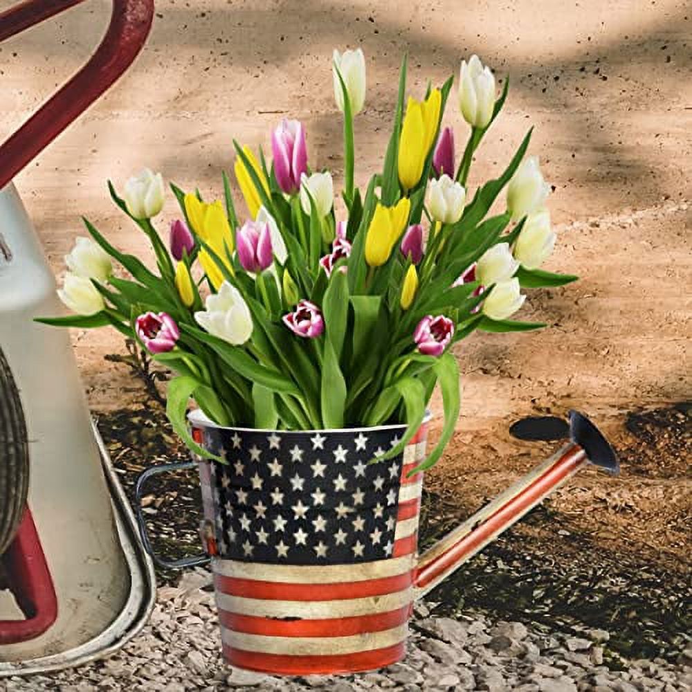 Watering Can Planter, 7-Inch Height, Stars & Stripes