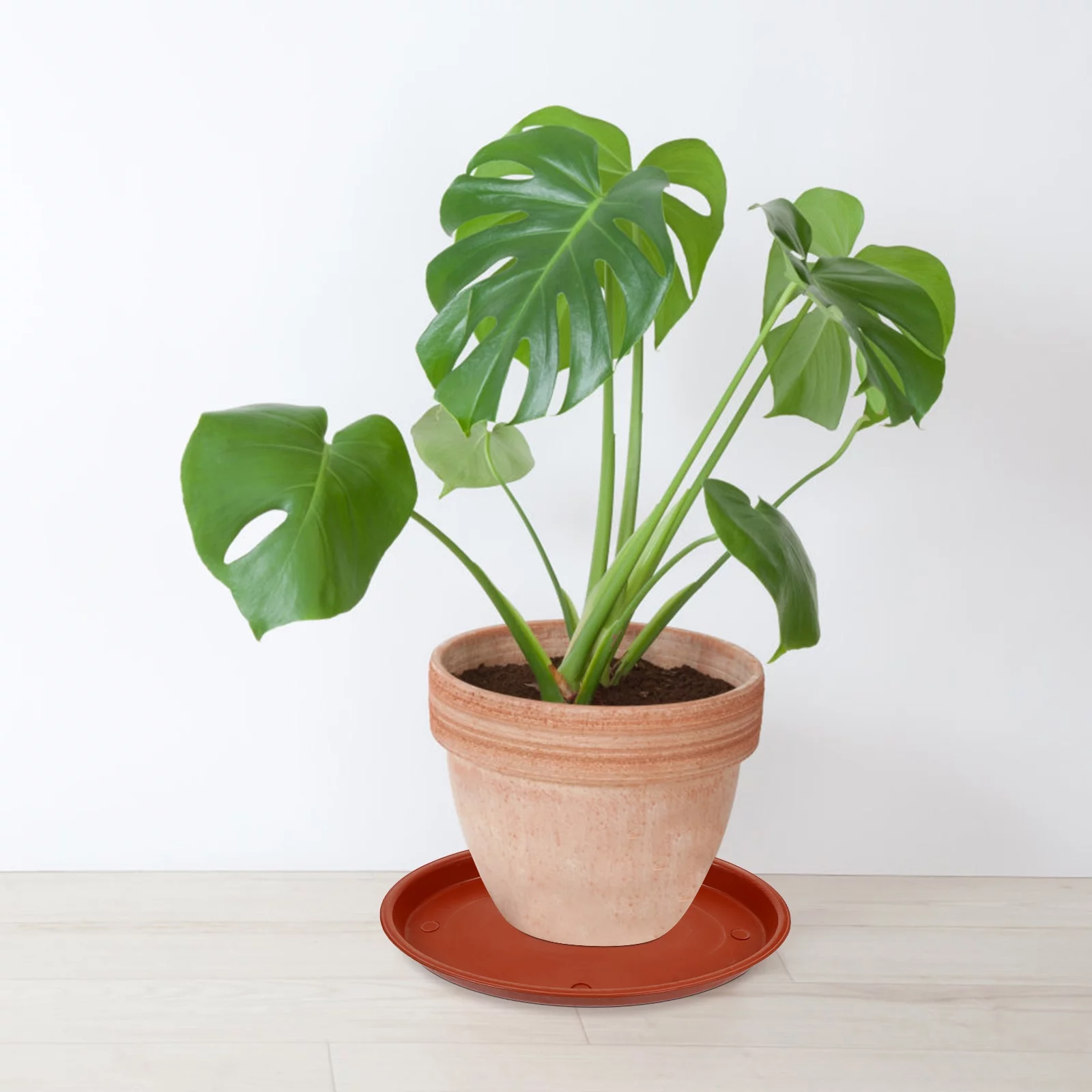 Gongxipen 5pcs Plastic Flowerpot Trays Flowerpot Baseplates Oval Plant Pot Trays Red