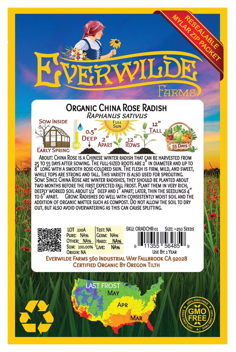 Everwilde Farms - 250 Organic China Rose Radish Seeds - Gold Vault Jumbo Bulk Seed Packet