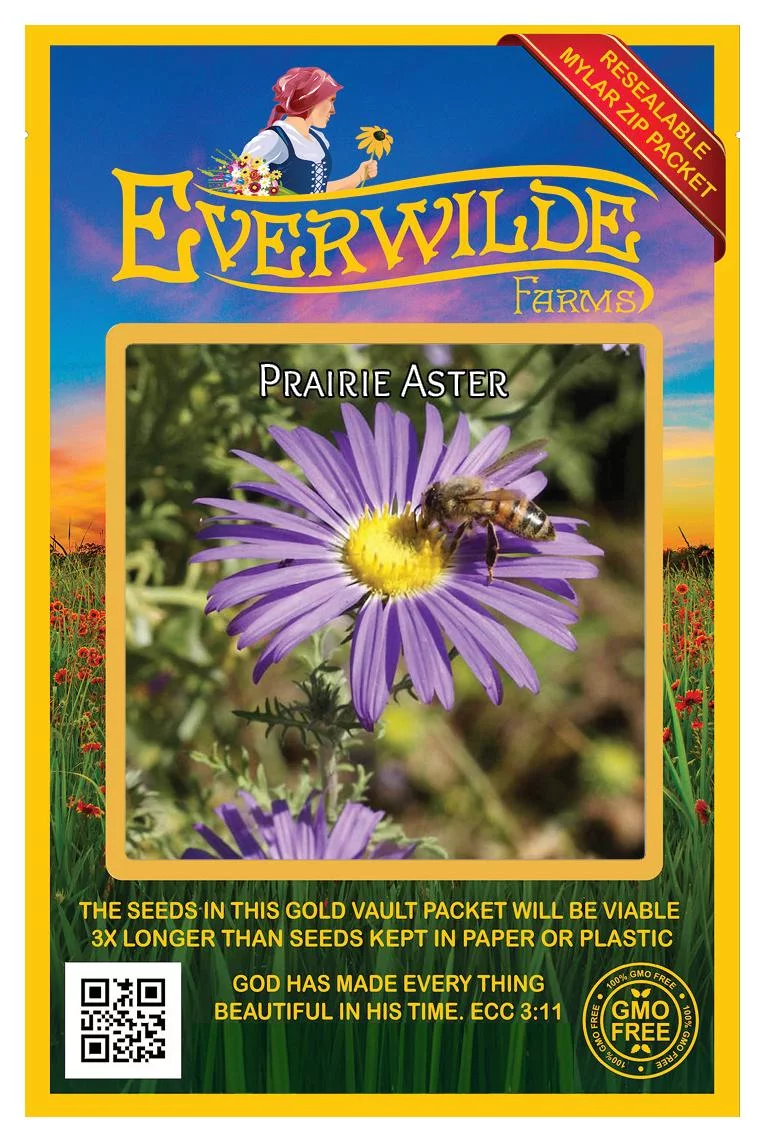 Everwilde Farms - 1000 Prairie Aster Native Wildflower Seeds - Gold Vault Jumbo Bulk Seed Packet