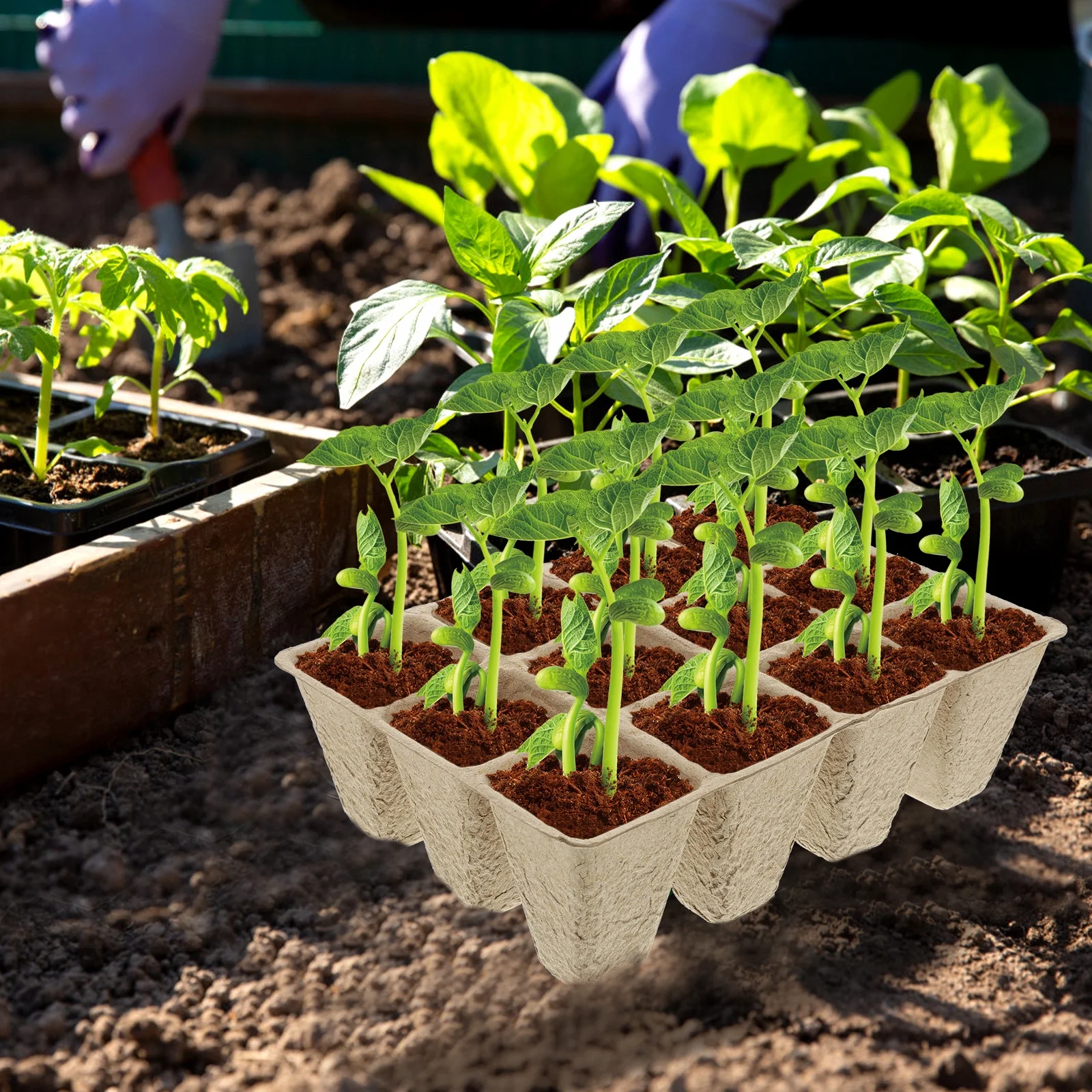 Nursery Pot Set Plant Label Tags Starting Cup Nutrition Planting Container Succulents