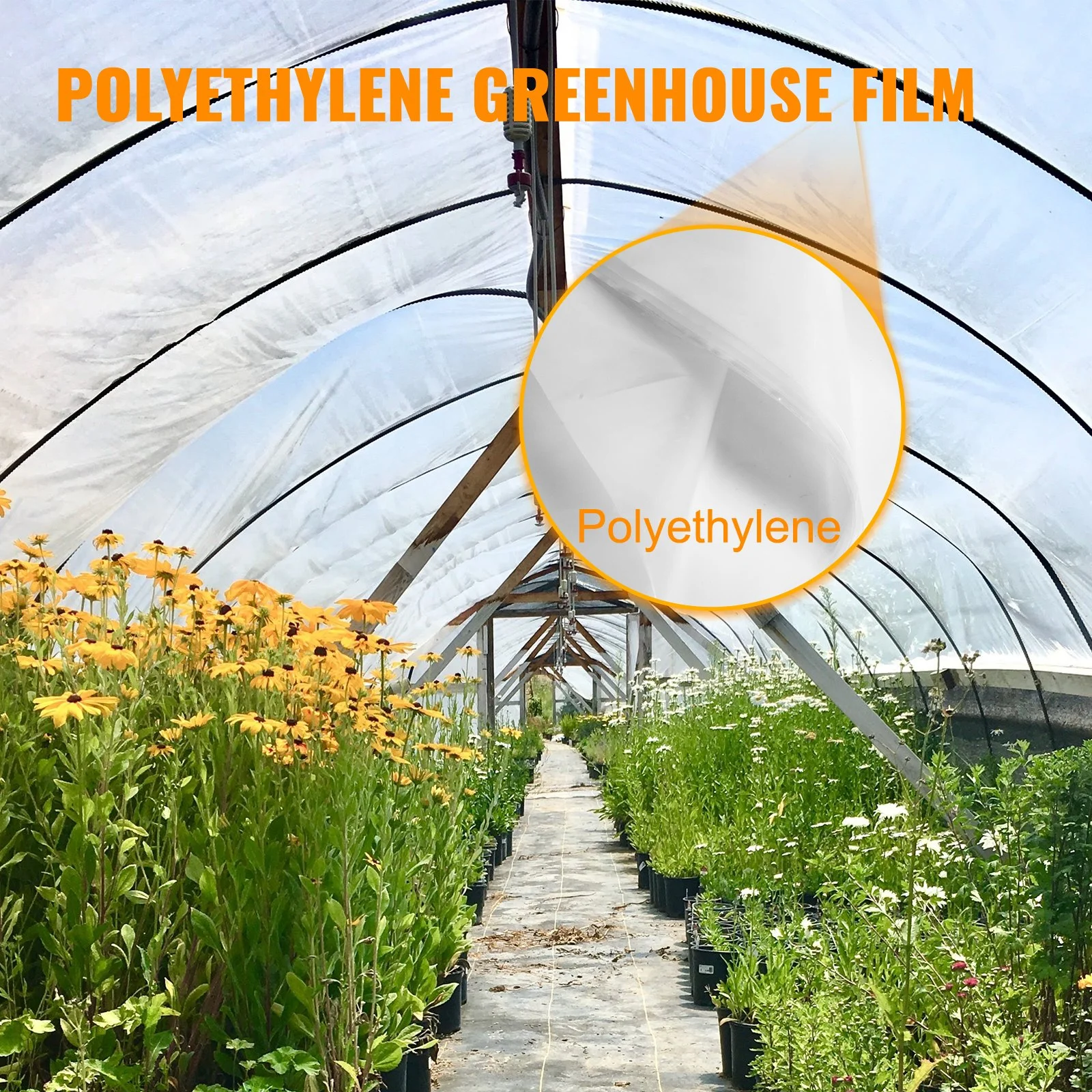 Premium 24x50 ft Greenhouse Film, 6 Mil Thickness, UV Resistant Clear Plastic