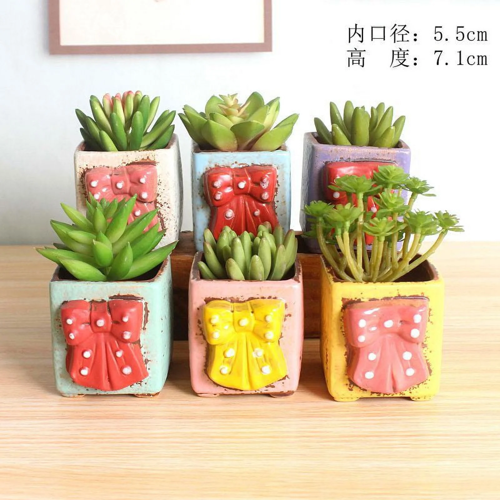 Ceramic Succulent Plant Pot, Hand-painted Korean Style Thumb Pot, Ceramic Flower Pot
